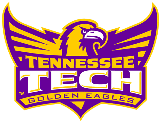 Tennessee Tech Golden Eagles 2006-Pres Alternate Logo v5 diy iron on heat transfer